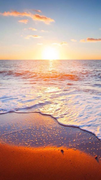 Восход в лесу