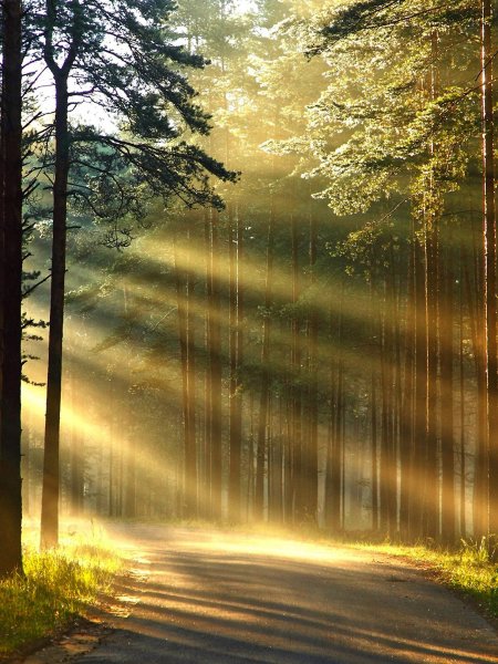 На Восходе солнца