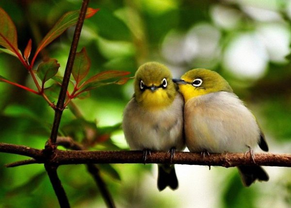 Весеннее утро