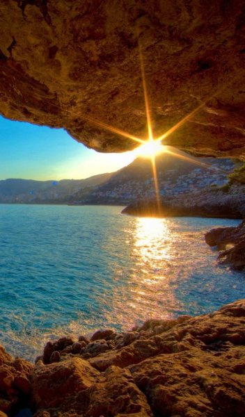 Весна солнце цветы