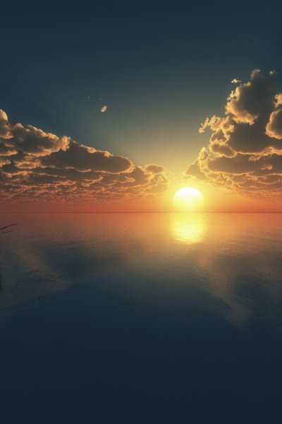 Цветы и море