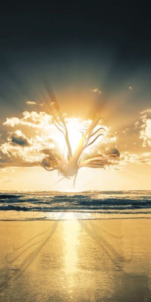 Красный закат на море