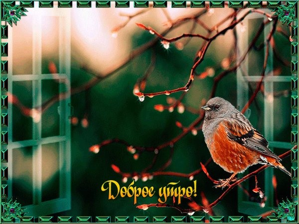 Доброго летнего денёчка и хорошего настроения