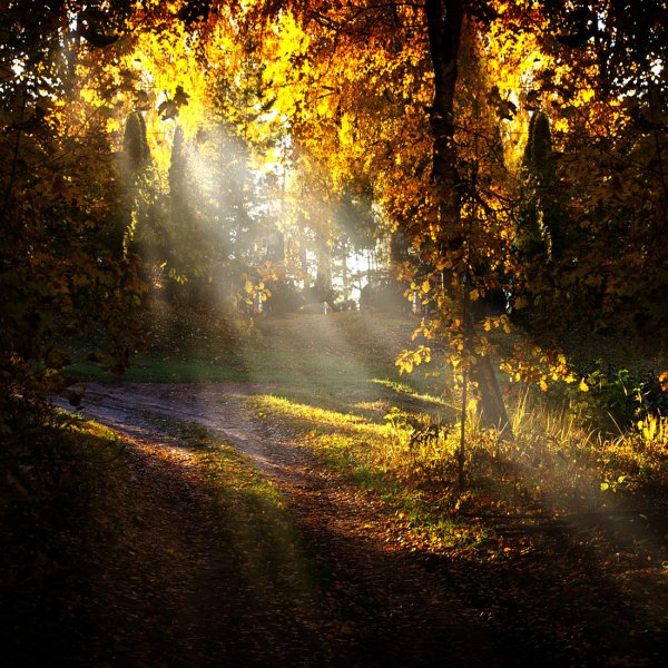 Солнечный осенний день