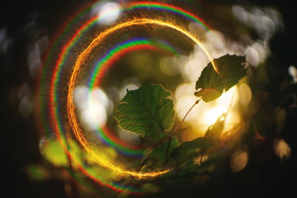 Солнечная осень