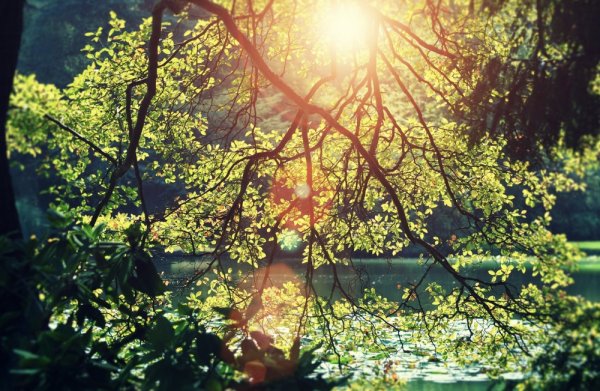 Фото залитое солнцем
