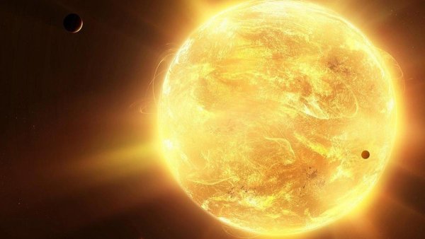 "Солнце в лесу"