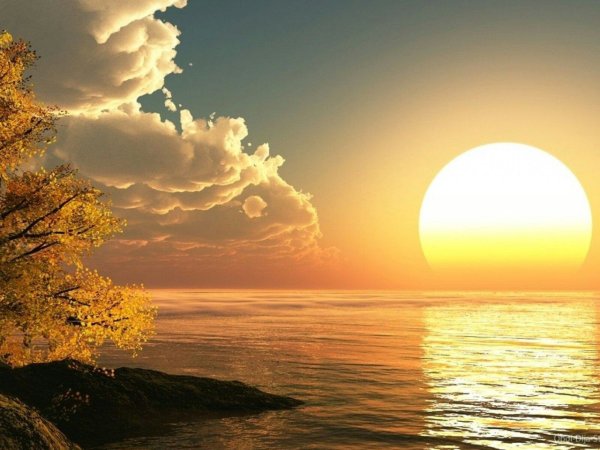 Газон на солнце