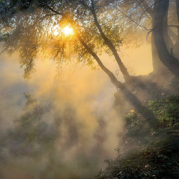 Дорога, освещенная солнцем