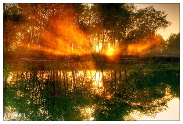 Анет сай лимон