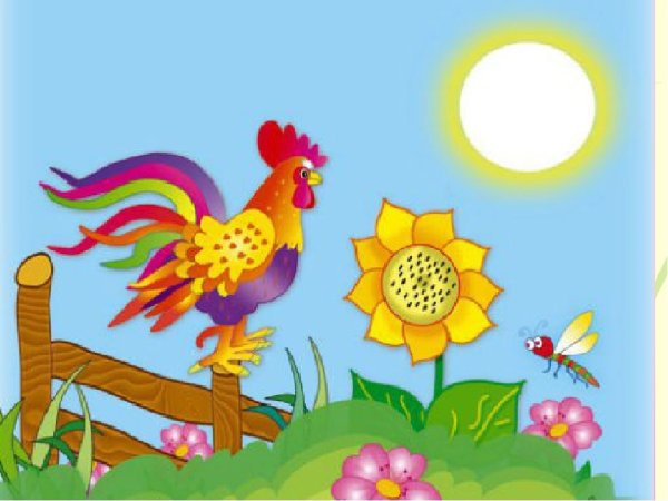 Петух на фоне встающего солнышка