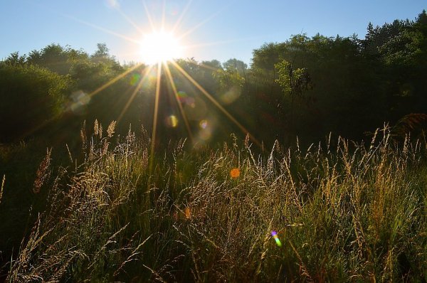 Солнце встает