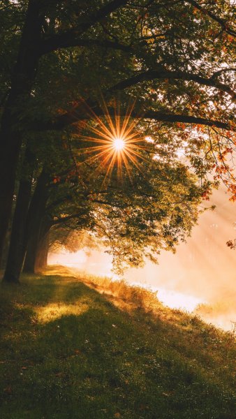 Свет солнца