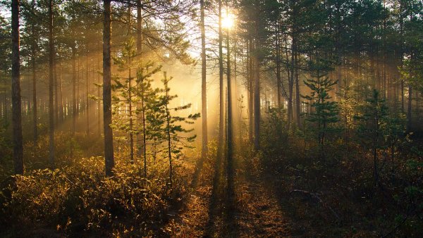 Плато Лаго-Наки плато закат