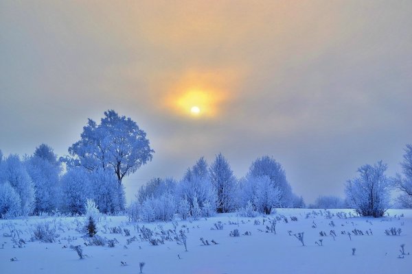 Тусклое зимнее солнце