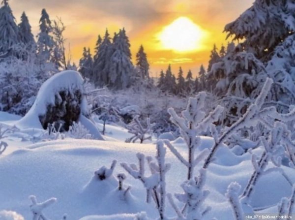 Зимнее солнышко для детей