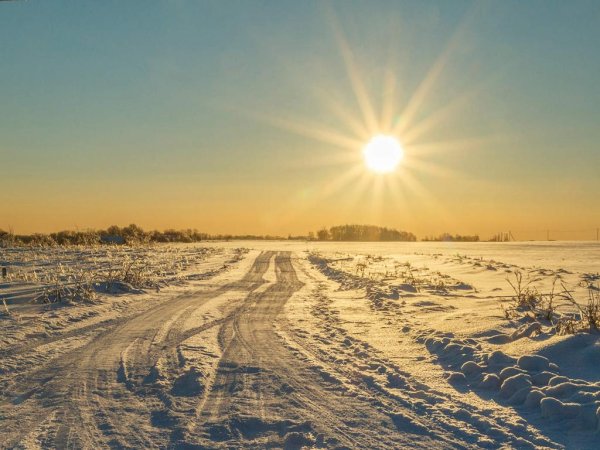 Солнечное зимнее утро