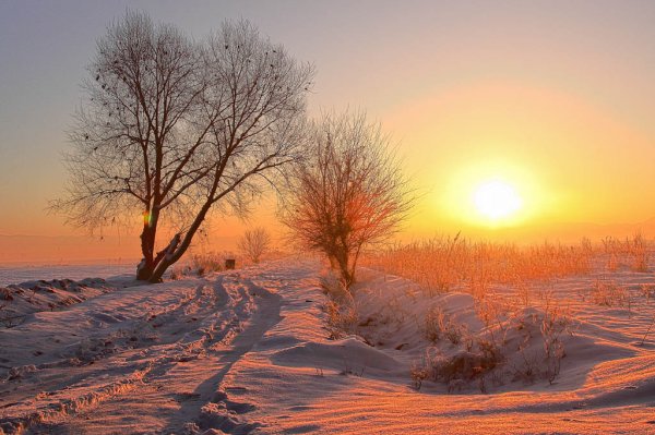 Солнечное зимнее утро