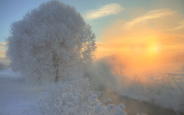 День рисования на снегу