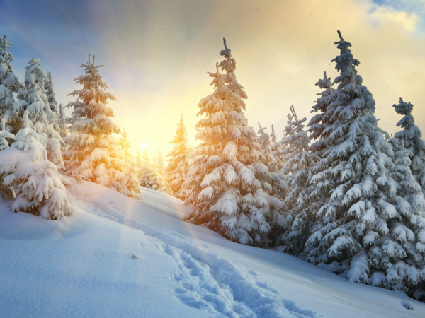 Снежный пейзаж