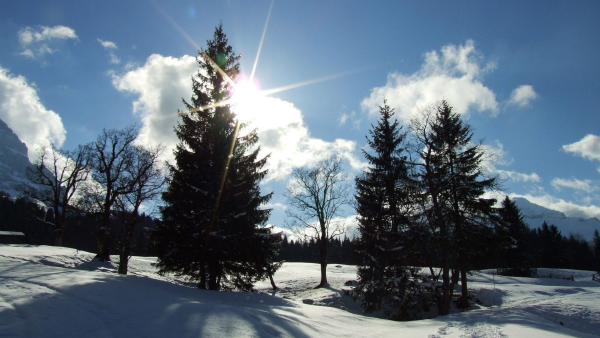 Самый короткий день в году