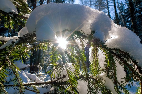 Зимний Солнечный пейзаж