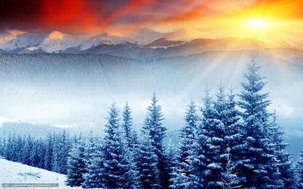 Необычные зимние пейзажи