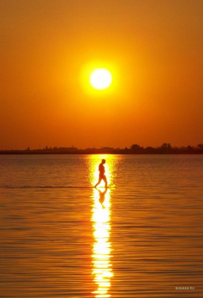 SCP-1682 Солнечный паразит