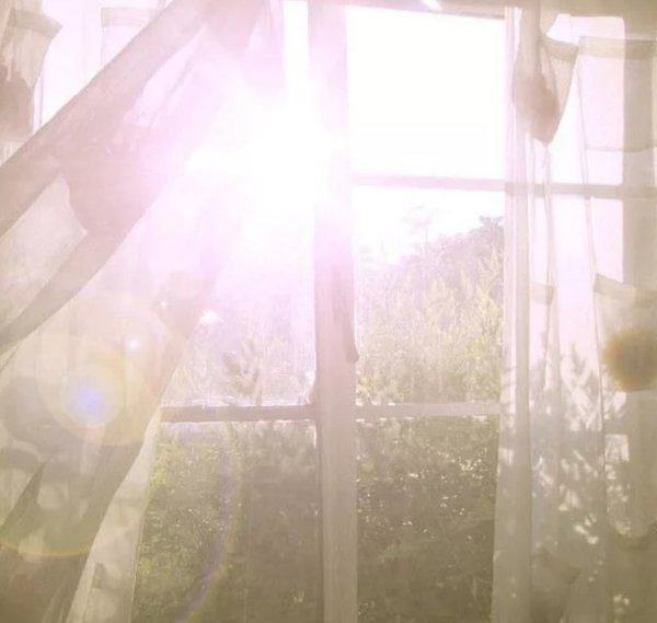 Утро из окна