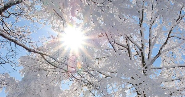 Фон для зимнего пейзажа для детей