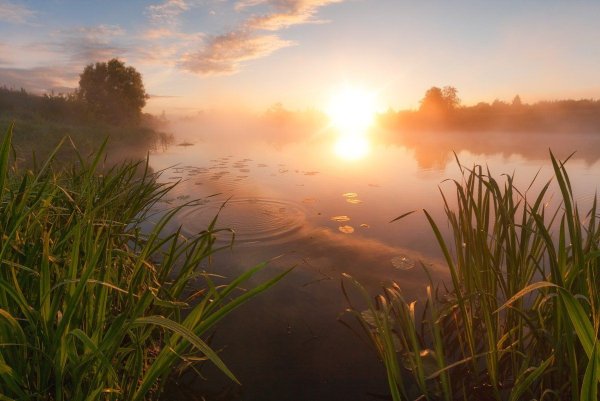 Рассвет на реке