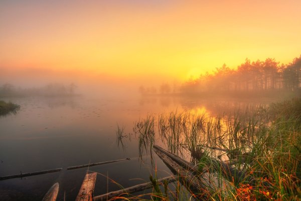 Восход над озером