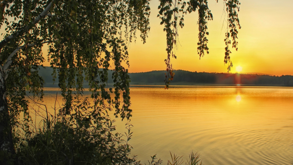 Вечер на берегу реки