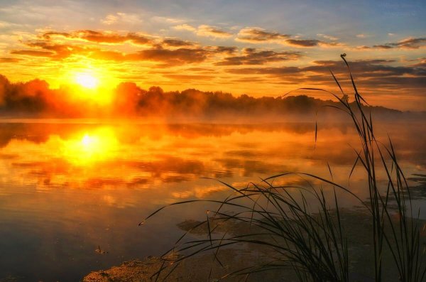 Летний рассвет