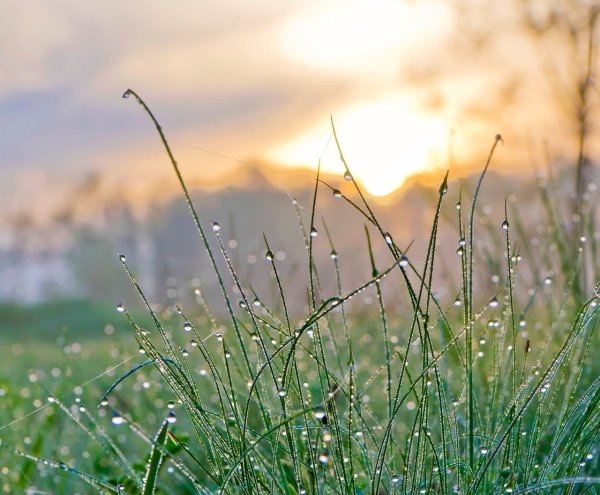 Весна солнце