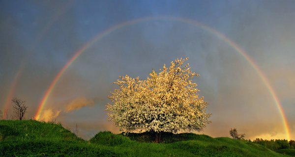 Чем больше в душе солнца тем ярче вокруг жизнь