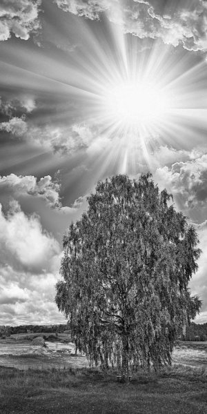 Памятник в Пионерском парке СПБ