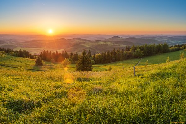 Пейзаж поле