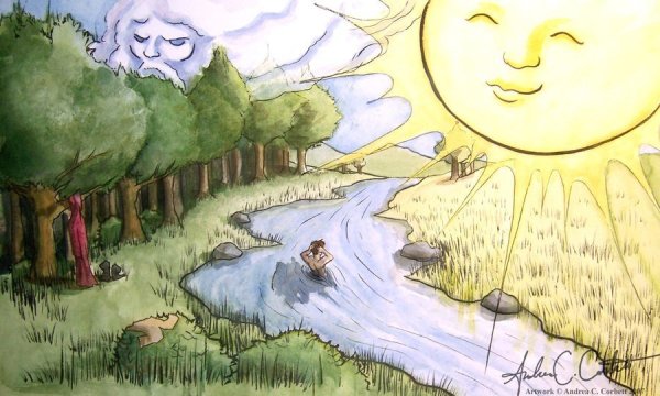 Трава на фоне заката