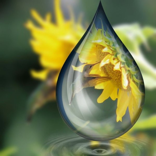 Капля воды