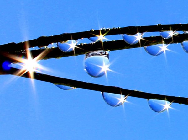 Отражение солнца в капле