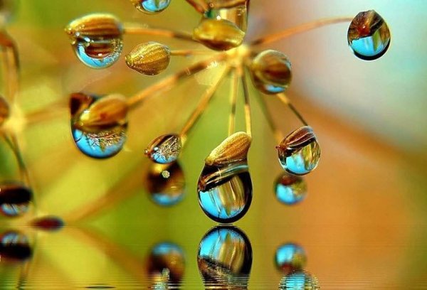 Отражение в капле воды