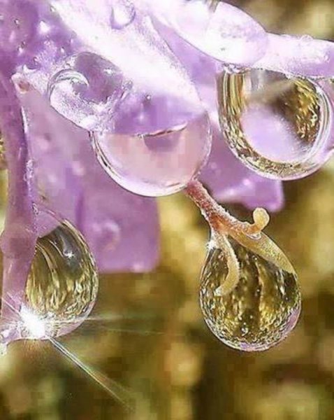 Отражение в капле воды