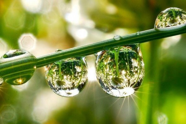 Прокл Великие росы