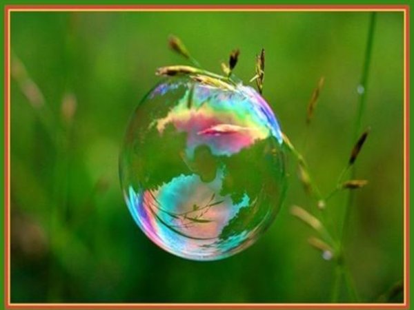 Утренняя роса на цветах