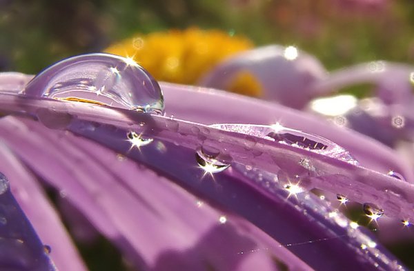 Группа капельки в детском саду