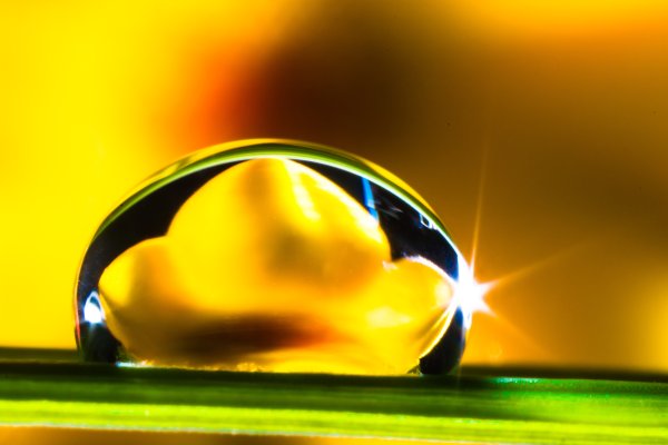 Осенние капельки