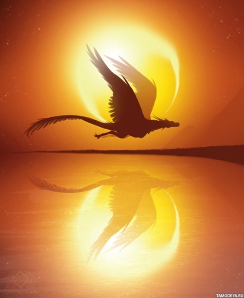 Птицы на рассвете