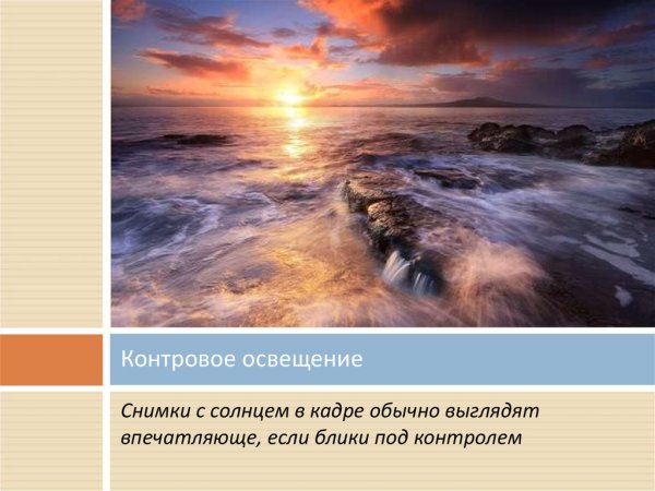 Цитаты про орла