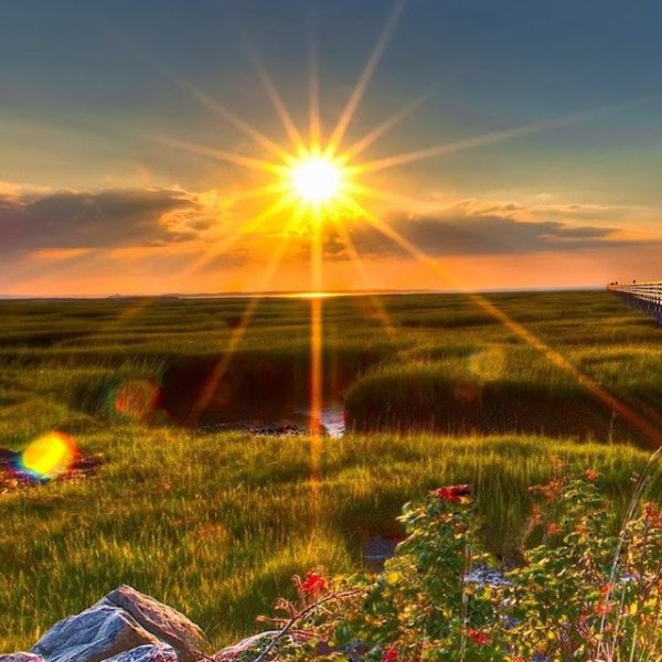 Солнце живопись